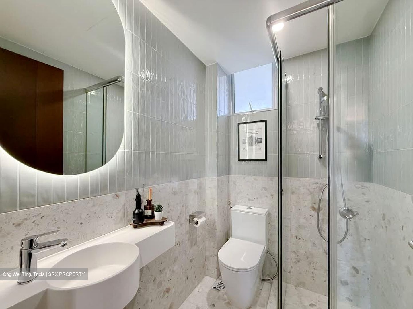 Alessandrea (D3), Apartment #541866161